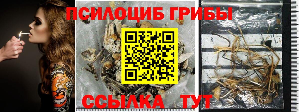 Галлюциногенные грибы мицелий Сокол